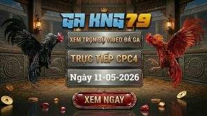 Xem Lại Video Đá Gà CPC4 Ngày 11/05/2026