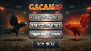 Xem Lại Video Đá Gà CPC2 Ngày 09/05/2026