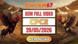 Xem Lại Video Đá Gà CPC2 Ngày 20/05/2026
