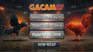 Xem Lại Video Đá Gà CPC4 Ngày 01/05/2026