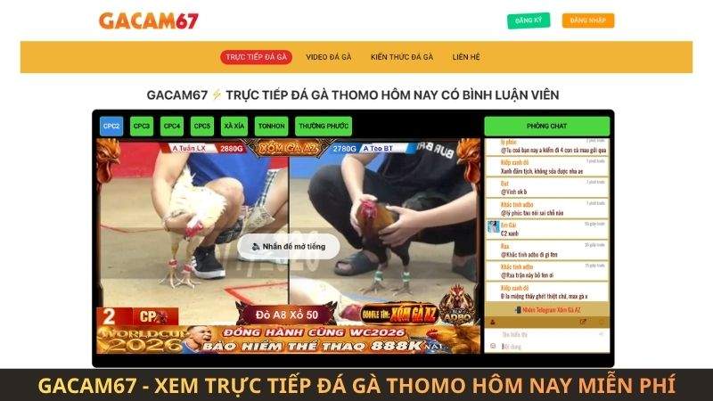 GACAM67 - Xem Trực Tiếp Đá Gà Trực Tiếp Hôm Nay Miễn Phí