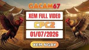 Xem Lại Video Đá Gà CPC2 Ngày 01/07/2026 Tại GACAM67